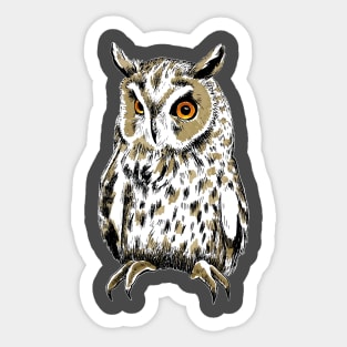 Owl Sticker